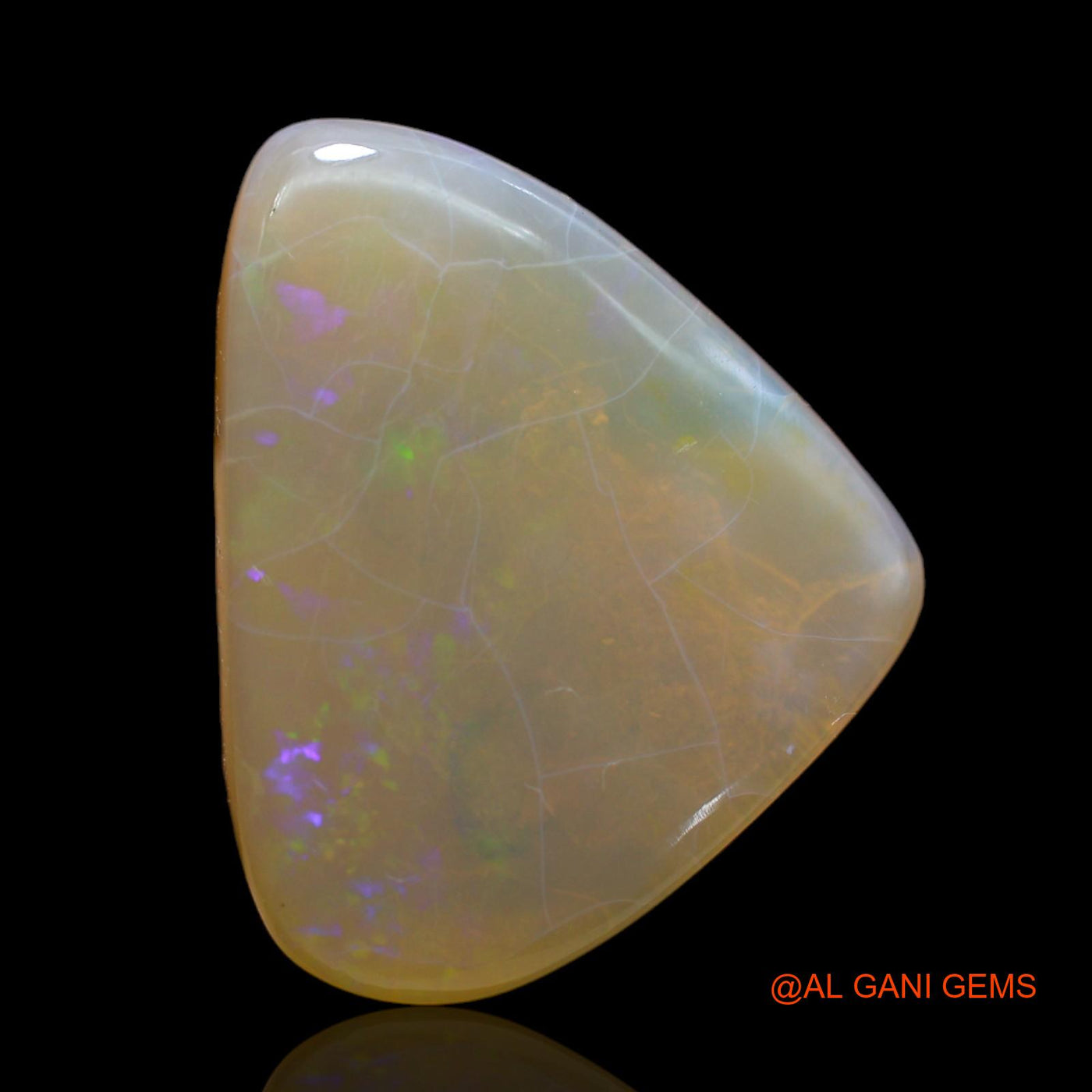 34.00 Cts Natural Australian Fire Opal Loose Gemstone Trillion Cabochon 30x24x7 mm AB-202