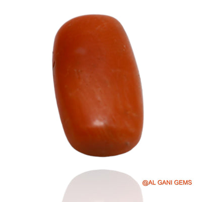 Natural Untreated Coral Loose Gemstone Oval Cabochon From Taiwan 5.60 Cts 14x8x5 mm C-100