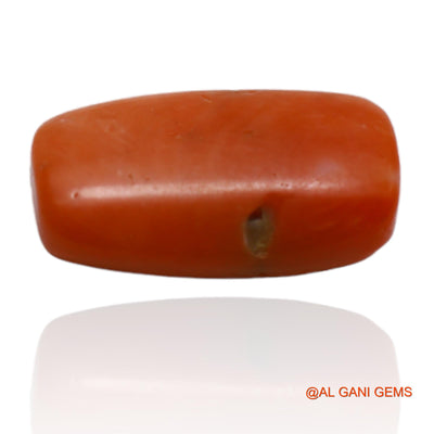 Natural Untreated Coral Loose Gemstone Oval Cabochon From Taiwan 5.60 Cts 14x8x5 mm C-100