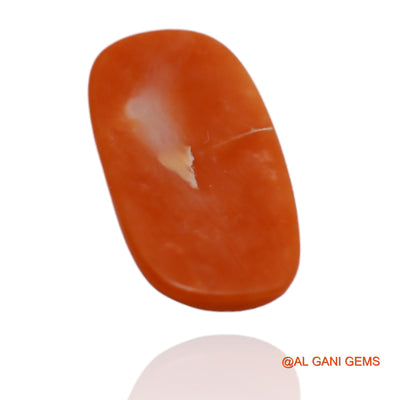 Natural Coral Gemstone 3.10 Cts Loose Oval Cabochon From Taiwan 16x8x2 mm C-12