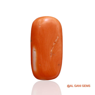 Natural Untreated Coral Loose Gemstone Oval Cabochon From Taiwan 6.25 Cts 17x9x5 mm C-199