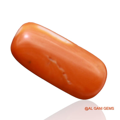Natural Untreated Coral Loose Gemstone Oval Cabochon From Taiwan 6.25 Cts 17x9x5 mm C-199