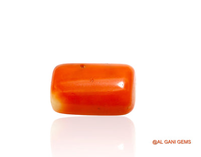 10.00 Cts Natural Taiwan Coral Loose Gemstone Fancy Cabochon 15x10x7 mm C-207