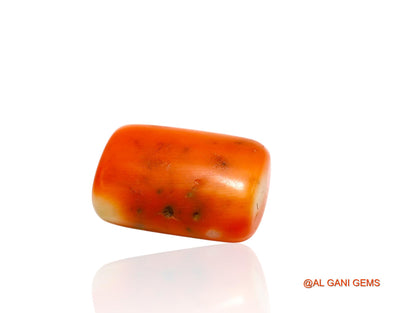 10.00 Cts Natural Taiwan Coral Loose Gemstone Fancy Cabochon 15x10x7 mm C-207