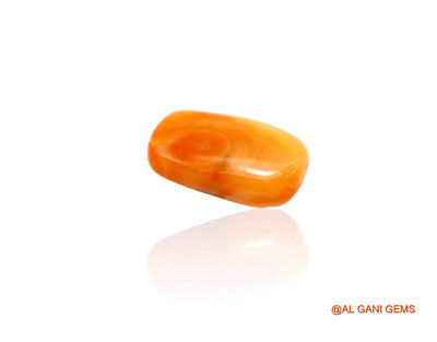 Natural Untreated Coral Loose Gemstone Oval Cabochon From Taiwan 5.00 Cts 15x9x4 mm C-343