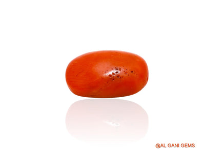 Natural Coral Gemstone 7.00 Cts Loose Oval Cabochon From Italy 16x10x5 mm C-382