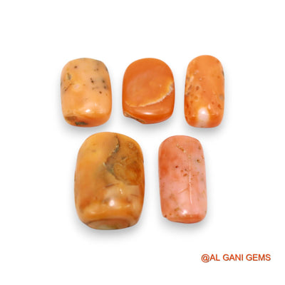 5 Pcs 26.00 Cts Natural Italy Coral Loose Gemstone Oval Cabochon Wholesale Lot 7X14X3 TO 12X17X6 MM C-392