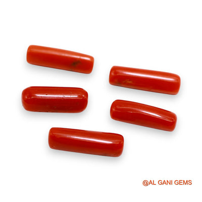 Natural Coral Loose Gemstone Tube Cabochon From Italy 5 Pcs Wholesale Lot 31.00 Cts 5X17X5 TO 6X19X5 MM C-394