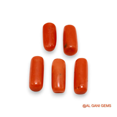 26.00 Cts Unheated Italy Coral Loose Gemstone Tube Cabochon Natural 5 Pcs Wholesale Lot 6X13X5 TO 6X16X5 MM C-396