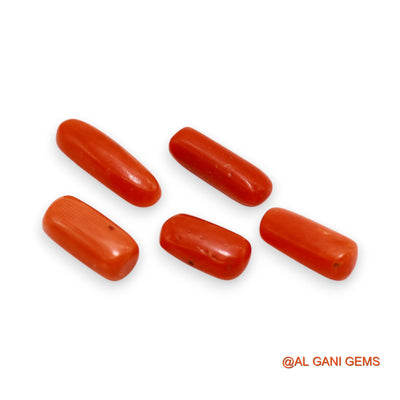 Natural Coral Loose Gemstone Tube Cabochon From Italy 5 Pcs Wholesale Lot 22.00 Cts 6X12X5 TO 5X18X5 MM C-398