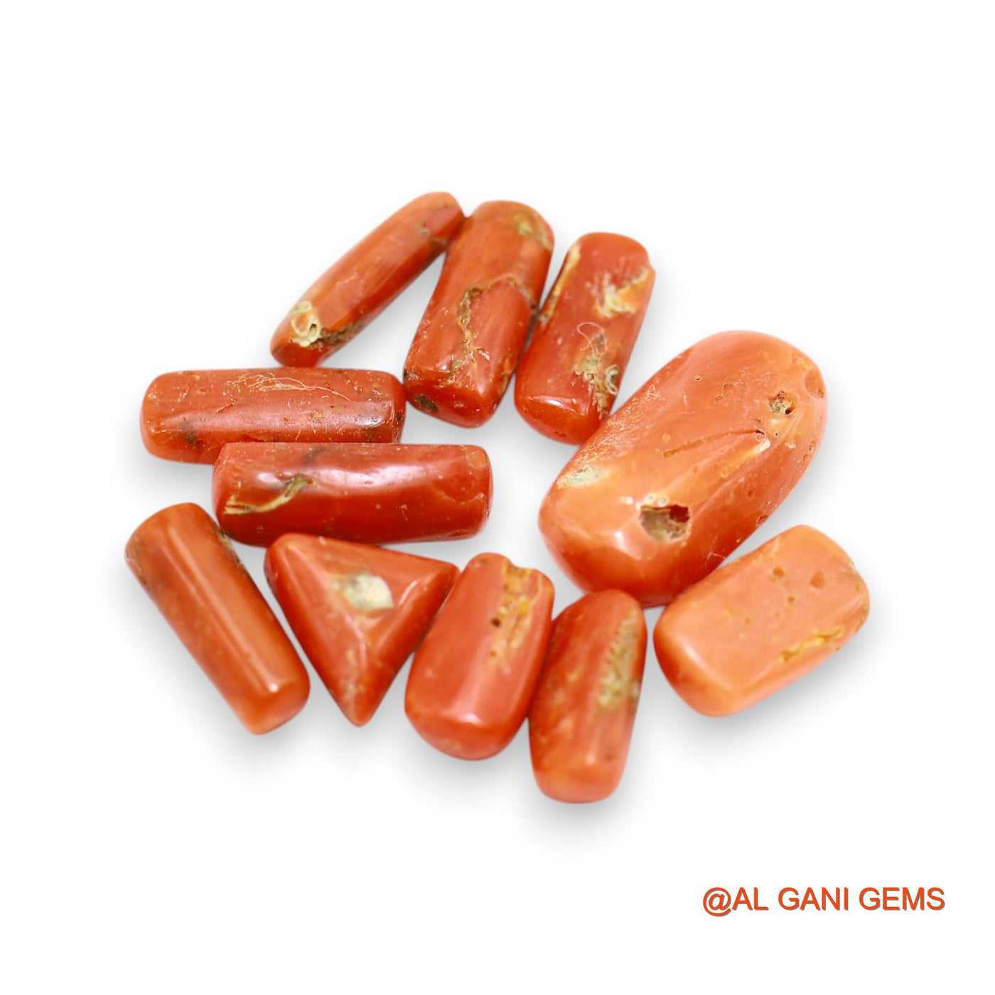 22.00 Cts Natural Italy Coral Fancy Cabochon 11 Pcs Wholesale Lot Loose Gemstone For Jewelry 4X9X3 TO 8X15X5 MM C-400