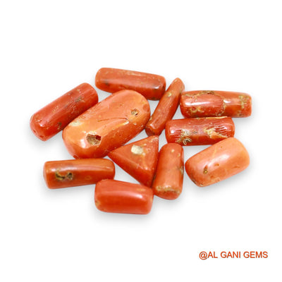 22.00 Cts Natural Italy Coral Fancy Cabochon 11 Pcs Wholesale Lot Loose Gemstone For Jewelry 4X9X3 TO 8X15X5 MM C-400