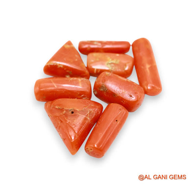 16.00 Cts Natural Italy Coral Fancy Cabochon 8 Pcs Wholesale Lot Loose Gemstone For Jewelry 3X10X2 TO 10X12X4 MM C-401