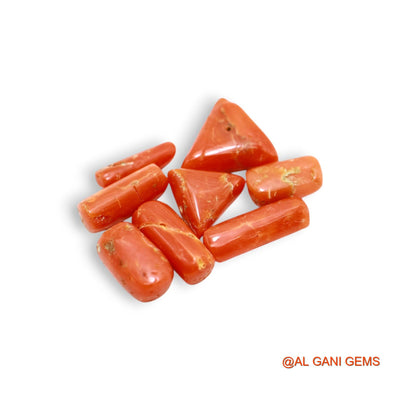 16.00 Cts Natural Italy Coral Fancy Cabochon 8 Pcs Wholesale Lot Loose Gemstone For Jewelry 3X10X2 TO 10X12X4 MM C-401