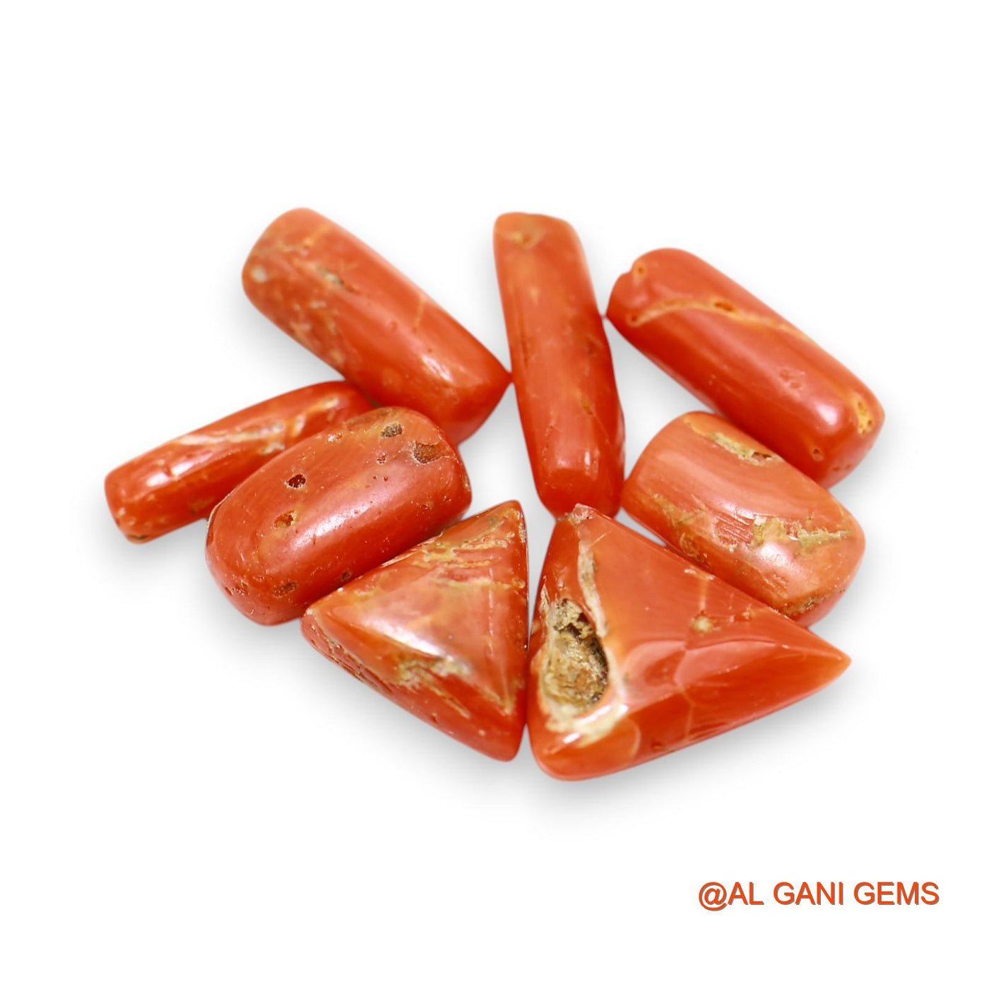 16.00 Cts Natural Italy Coral Fancy Cabochon 8 Pcs Wholesale Lot Loose Gemstone For Jewelry 3X10X2 TO 10X12X4 MM C-401