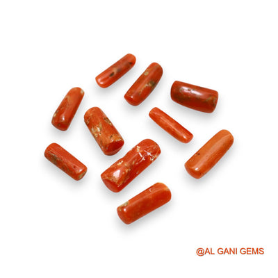 Natural Coral Loose Gemstone Tube Cabochon From Italy 10 Pcs Wholesale Lot 20.00 Cts 3X11X2 TO 5X14X4 MM C-402