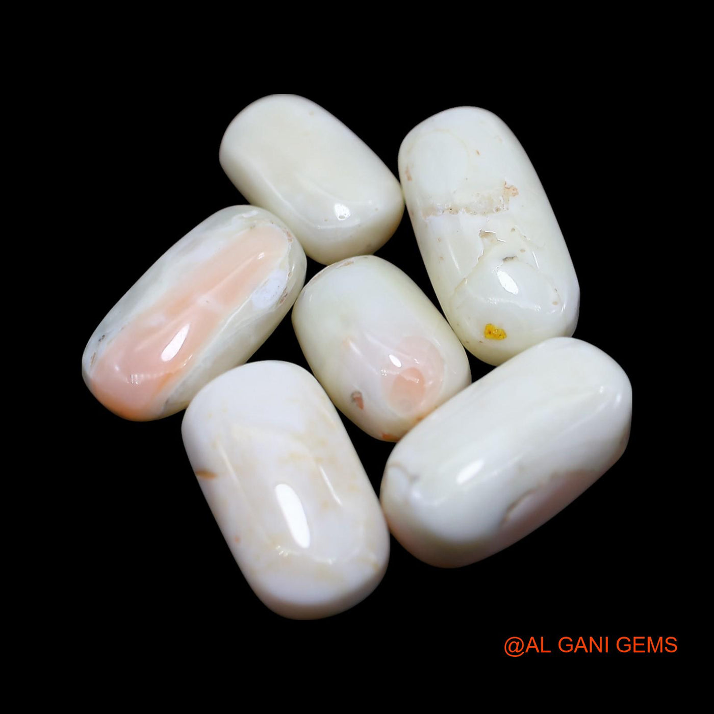 Natural Coral Loose Gemstone Tube Cabochon From Italy 6 Pcs Wholesale Lot 39.00 Cts 7X11X4 TO 8X16X6 MM C-420