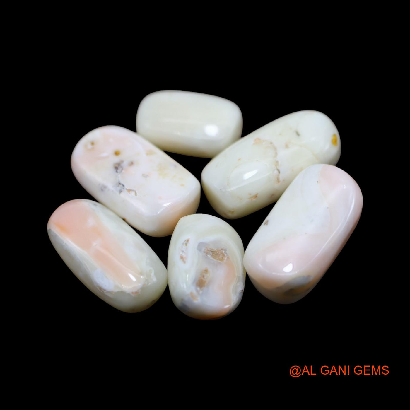 Natural Coral Loose Gemstone Tube Cabochon From Italy 6 Pcs Wholesale Lot 39.00 Cts 7X11X4 TO 8X16X6 MM C-420