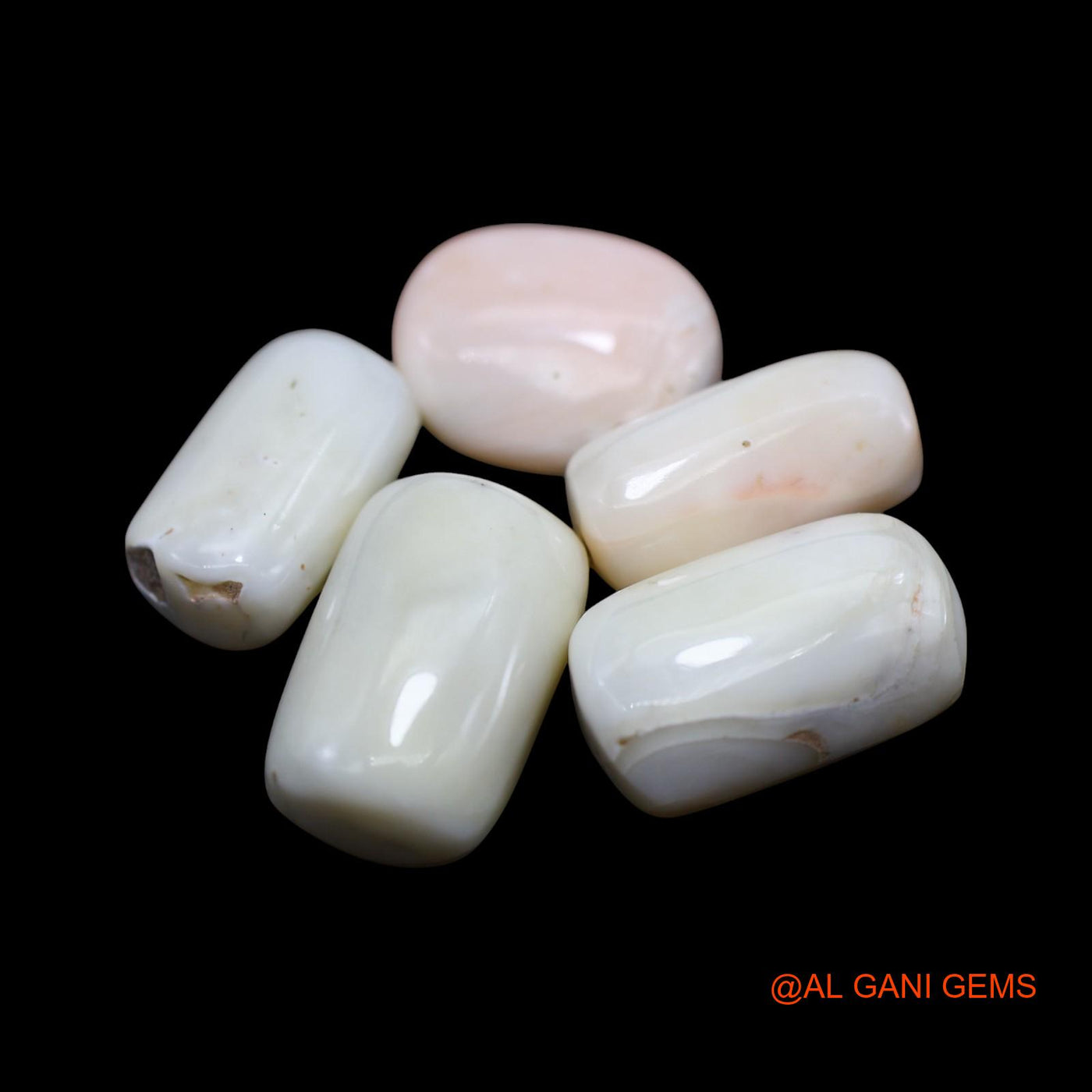 5 Pcs 59.00 Cts Natural Italy Coral Loose Gemstone Tube Cabochon Wholesale Lot 9X15X6 TO 11X17X9 MM C-421