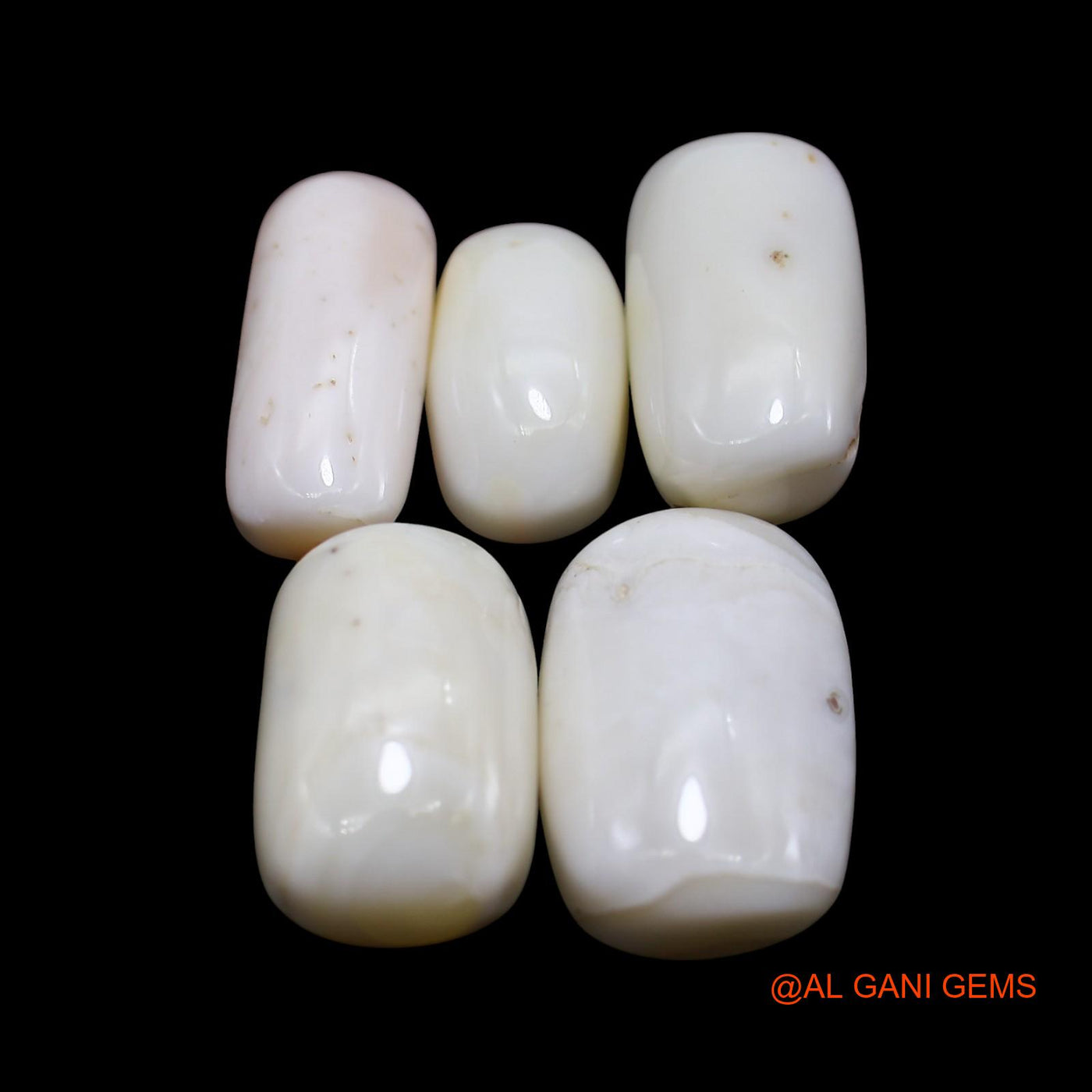5 Pcs 58.00 Cts Natural Italy Coral Loose Gemstone Tube Cabochon Wholesale Lot 8X14X6 TO 13X18X7 MM C-426