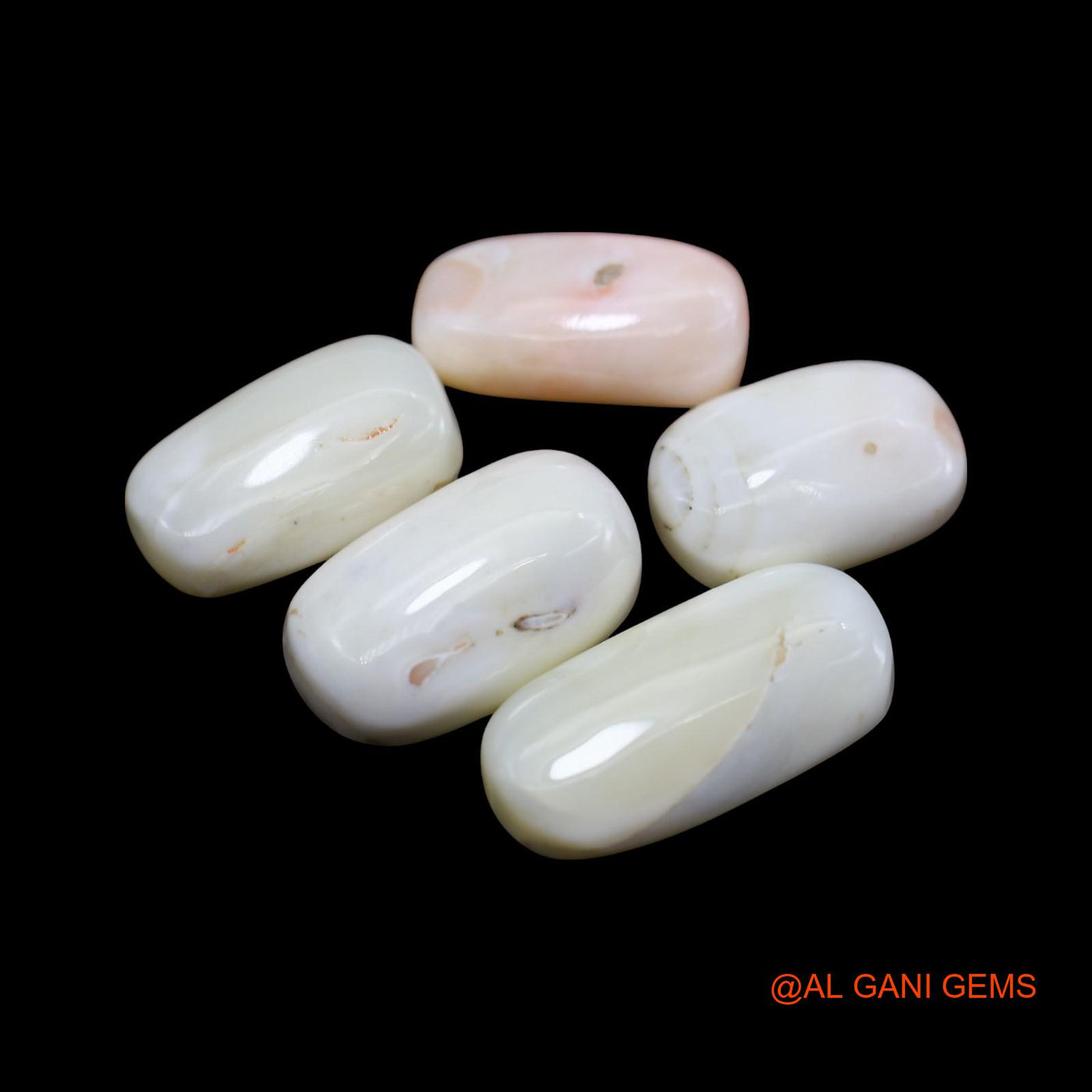5 Pcs Wholesale Lot Natural Coral Gemstone 37.00 Cts Loose Tube Cabochon From Italy 9X14X5 TO 9X18X5 MM C-427