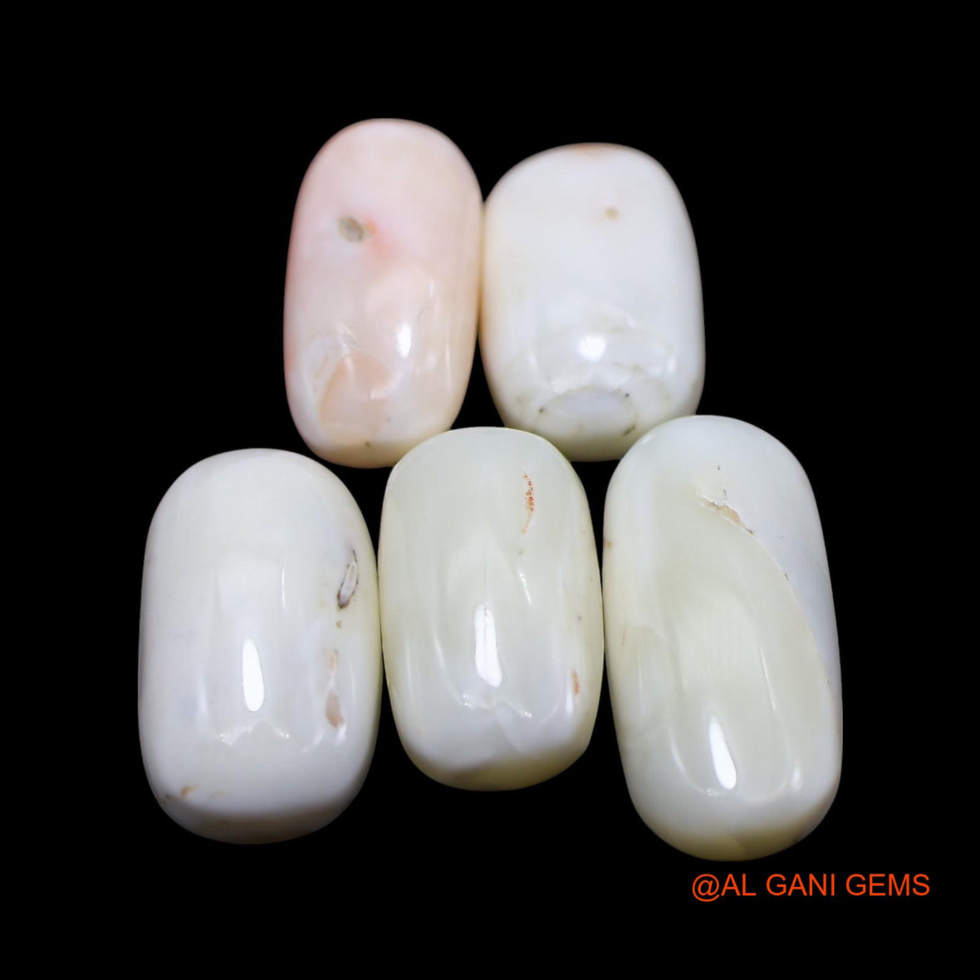 5 Pcs Wholesale Lot Natural Coral Gemstone 37.00 Cts Loose Tube Cabochon From Italy 9X14X5 TO 9X18X5 MM C-427