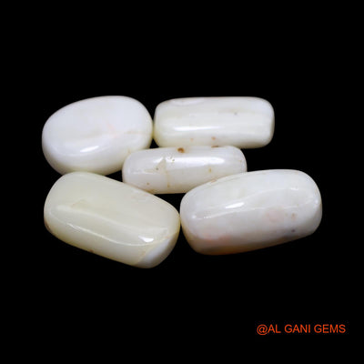 5 Pcs Wholesale Lot Natural Coral Gemstone 35.00 Cts Loose Tube Cabochon From Italy 6X15X4 TO 10X17X4 MM C-430
