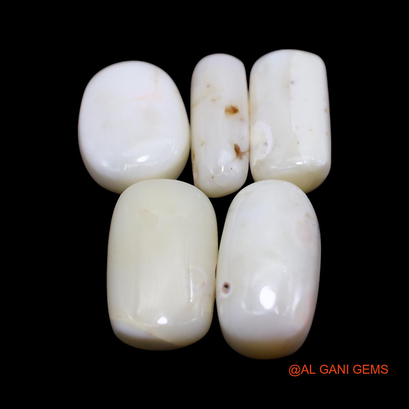 5 Pcs Wholesale Lot Natural Coral Gemstone 35.00 Cts Loose Tube Cabochon From Italy 6X15X4 TO 10X17X4 MM C-430