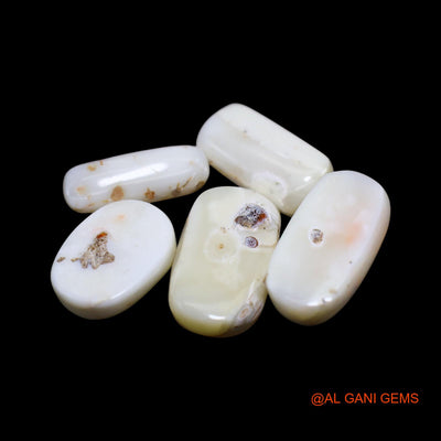 5 Pcs Wholesale Lot Natural Coral Gemstone 35.00 Cts Loose Tube Cabochon From Italy 6X15X4 TO 10X17X4 MM C-430