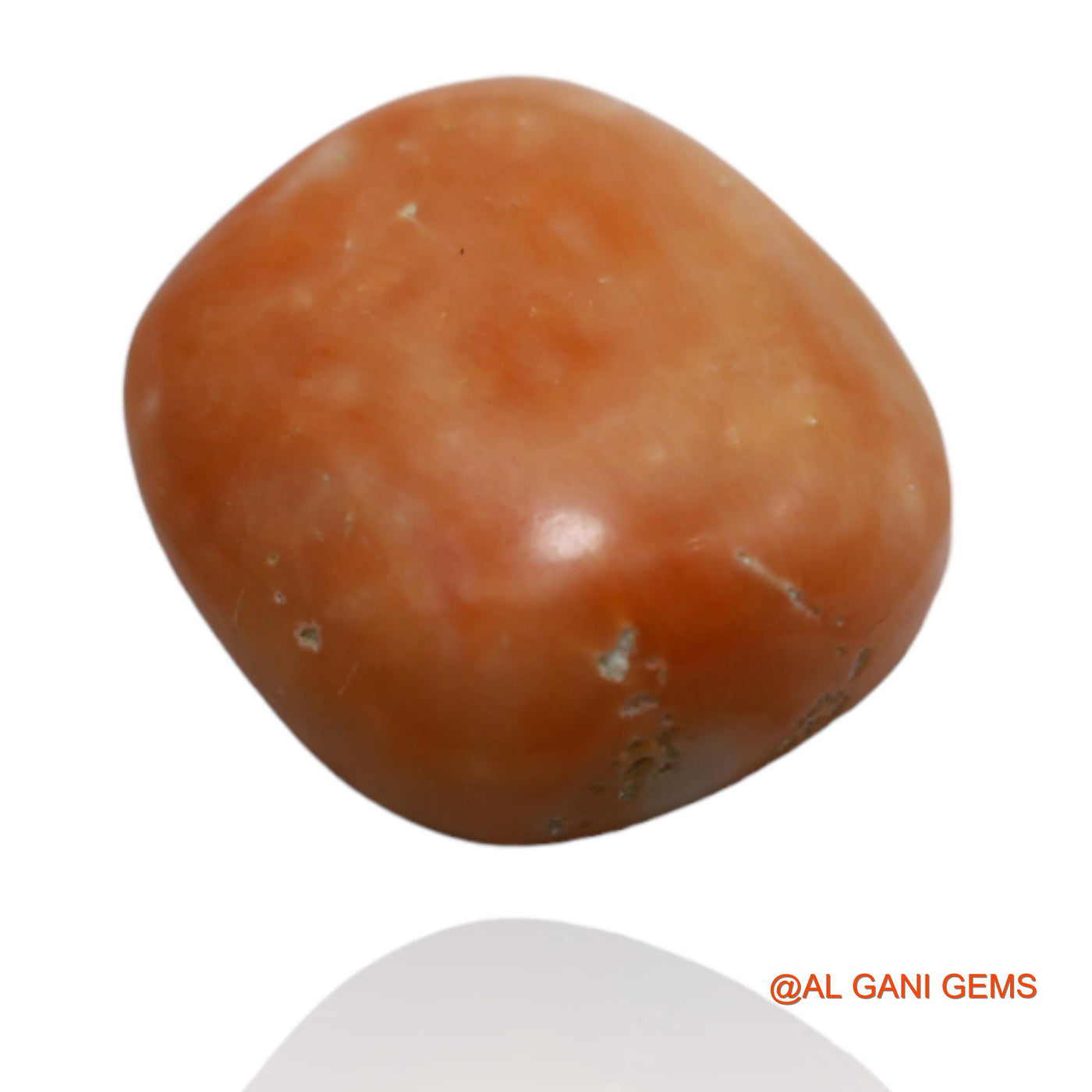 Natural Untreated Coral Loose Gemstone Oval Cabochon From Taiwan 9.25 Cts 14x13x5 mm C-56