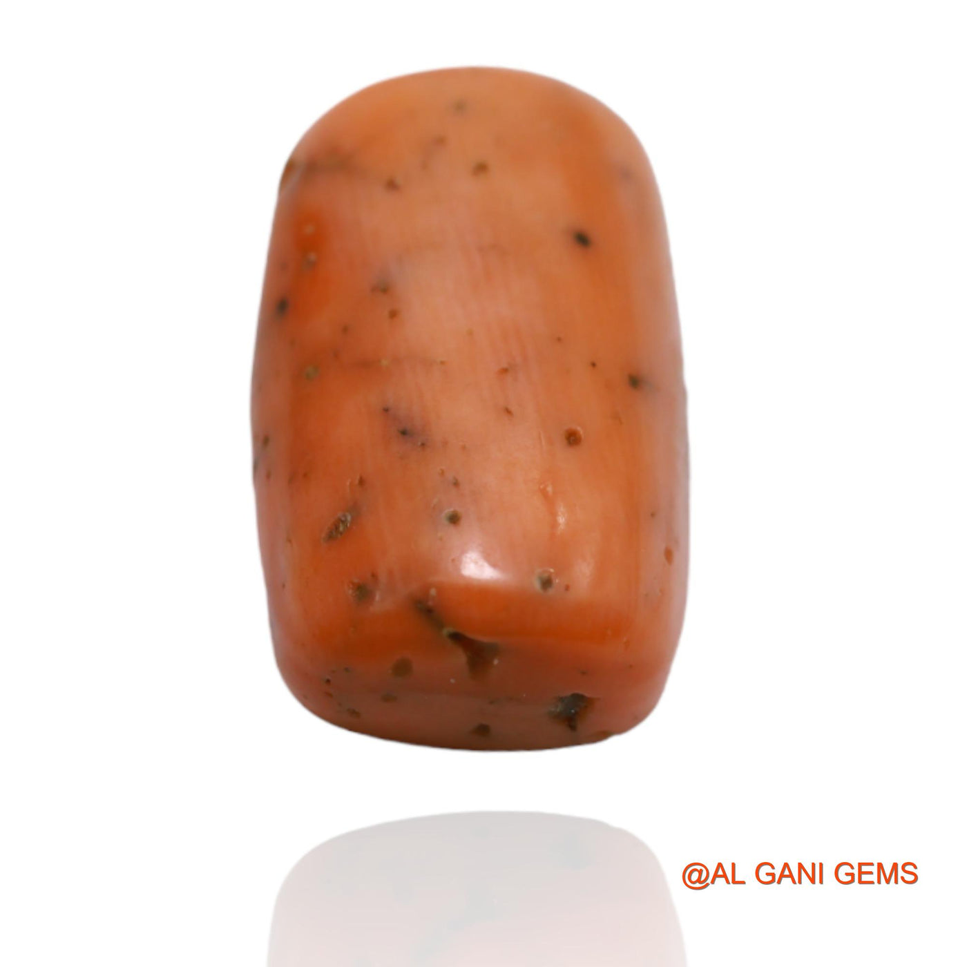 Natural Untreated Coral Loose Gemstone Oval Cabochon From Taiwan 10.25 Cts 16x10x6 mm C-58