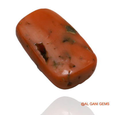 Natural Untreated Coral Loose Gemstone Oval Cabochon From Taiwan 10.25 Cts 16x10x6 mm C-58