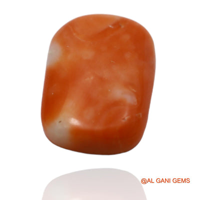 Natural Coral Gemstone 6.75 Cts Loose Oval Cabochon From Taiwan 15x10x4 mm C-85