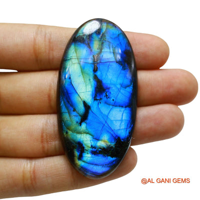 111.00 Cts Natural South African Fire Labradorite Loose Gemstone Oval Cabochon 62x31x6 mm L-8