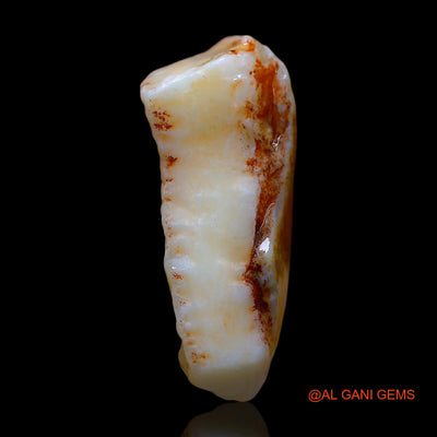 15.00 Cts Natural Australian Fire Opal Loose Gemstone Fancy Rough 26x12x10 mm RD-707