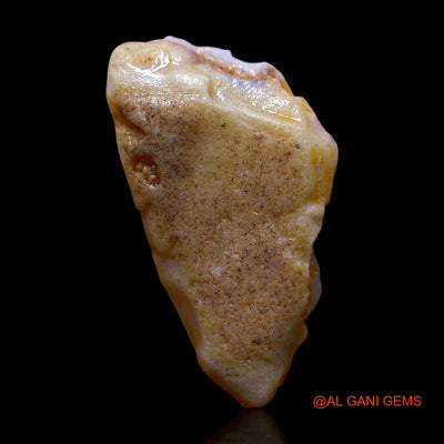 Natural Fire Opal Gemstone 10.00 Cts Loose Fancy Rough From Australia 26x14x5 mm RE-816