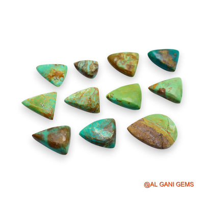 58.00 Cts Arizona TURQUOISE Loose Gemstone Fancy Cabochon Natural 19 Pcs Wholesale Lot 8X11X5 TO 15X20X4 MM T-741